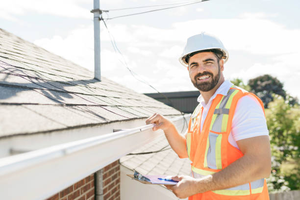 Residential Roof Replacement in Cologne, MN