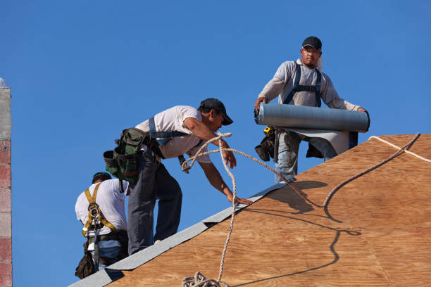 Quick and Trustworthy Emergency Roof Repair Services in Cologne, MN
