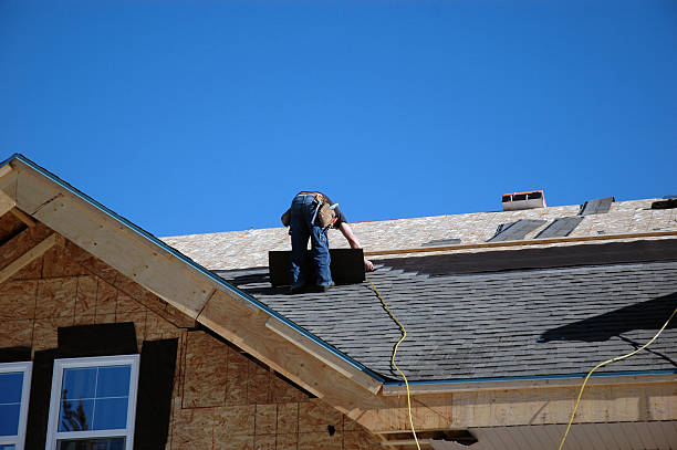 Roof Gutter Cleaning in Cologne, MN